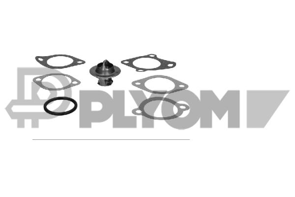Thermostat, coolant (P775899)