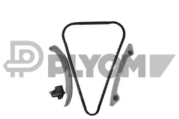 Timing Chain Kit (P752061)