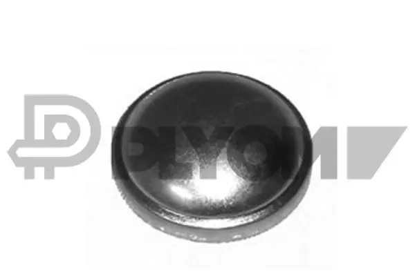 Protection Lid, wheel hub (P951017)