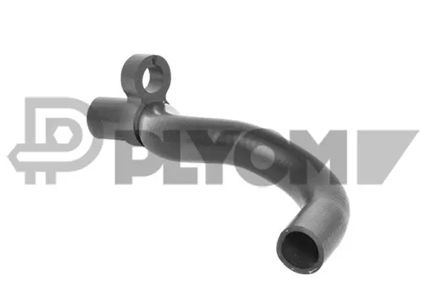 Radiator Hose (P026560)