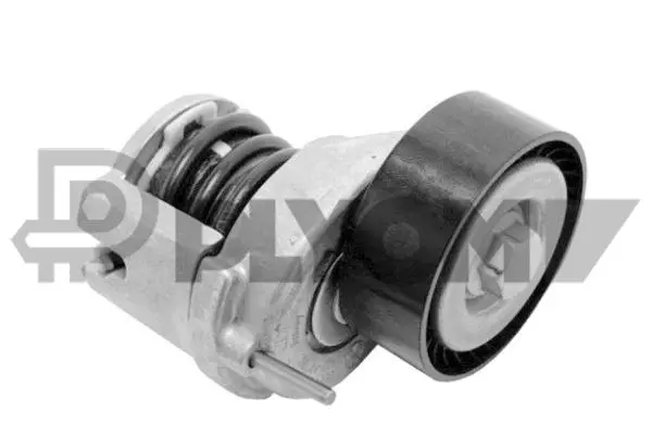 Repair Kit, v-ribbed belt tensioner (P771086)