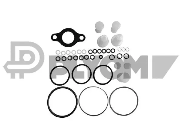 Repair Kit, unit injector (P752354)