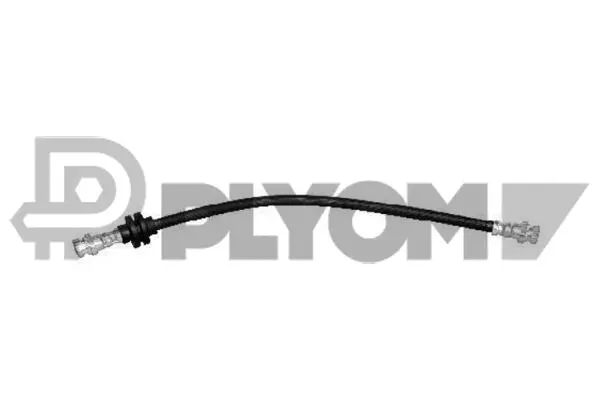 Brake Hose (P021187)