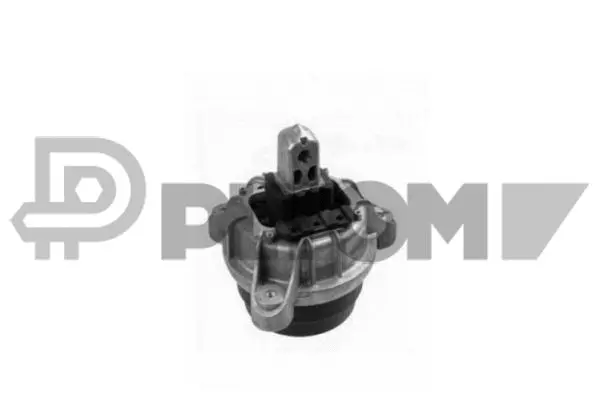 Mounting, engine (P756502)