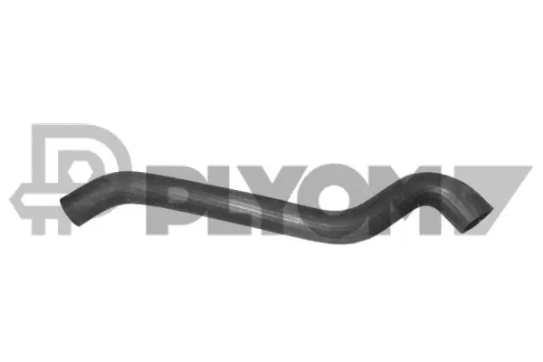 Radiator Hose (P486099)