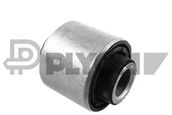 Bushing, axle beam (P759416)