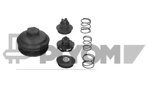 Cap, oil filter housing (P462550)