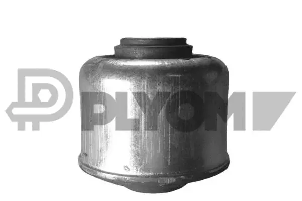 Mounting, control/trailing arm (P020794)