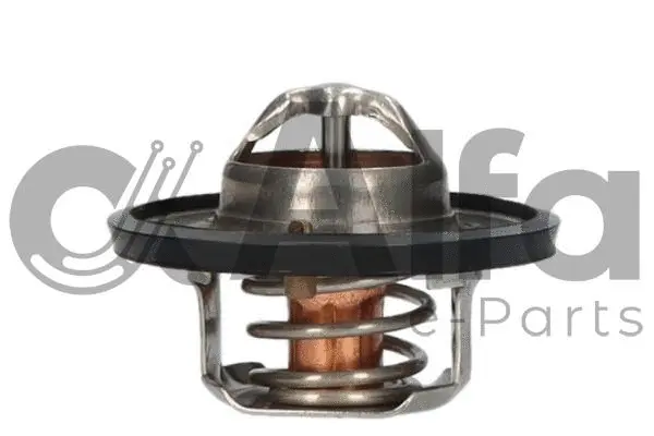 Thermostat, coolant (AF08063)