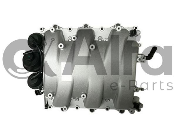 Intake Manifold Module (AF07217)