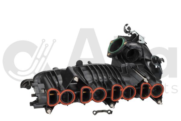 Intake Manifold Module (AF07223)
