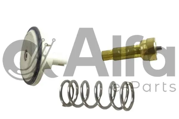 Thermostat, coolant (AF12183)