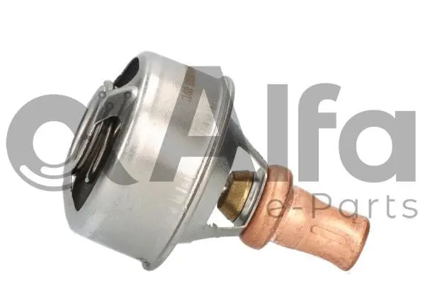 Thermostat, coolant (AF10674)