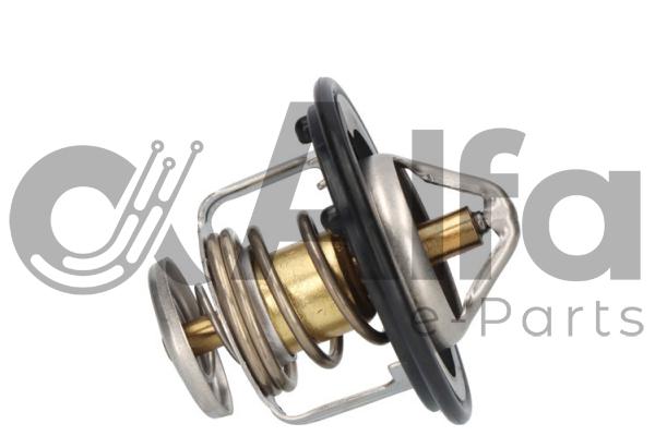 Thermostat, coolant (AF10534)