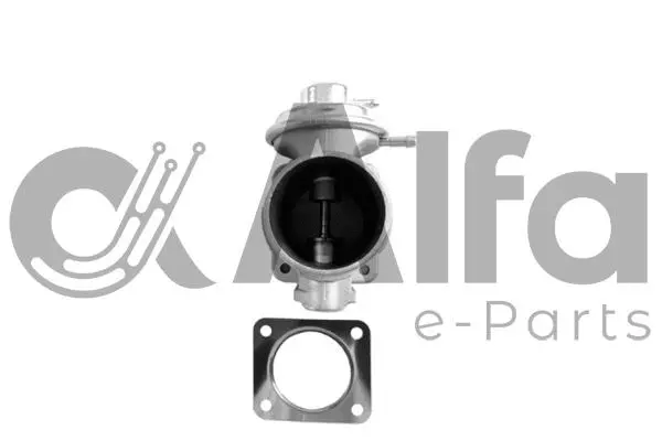 EGR Valve (AF07816)