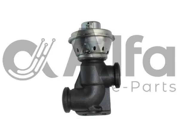 EGR Valve (AF07791)