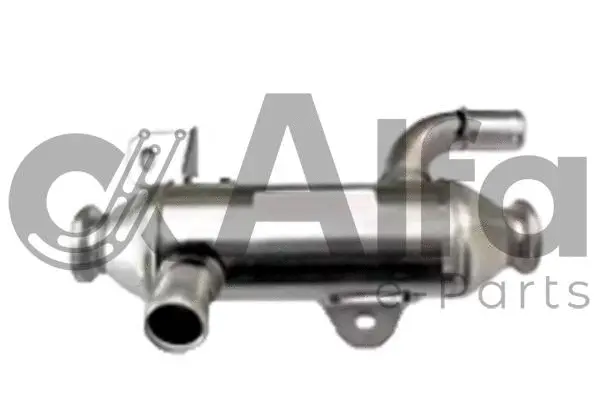 Cooler, exhaust gas recirculation (AF07810)