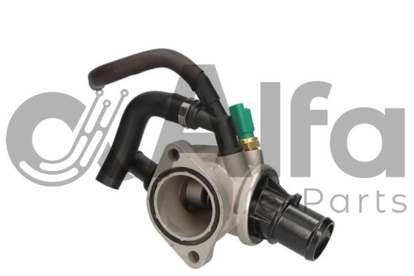 Thermostat, coolant (AF08041)