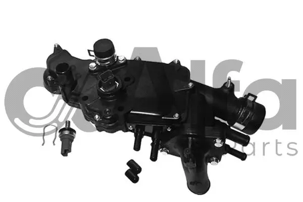Thermostat, coolant (AF10574)