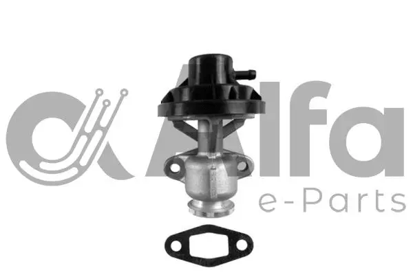 EGR Valve (AF07817)