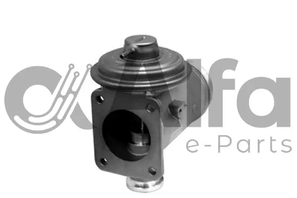 EGR Valve (AF07813)