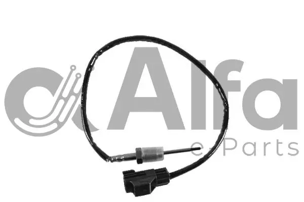Sensor, exhaust gas temperature (AF08253)