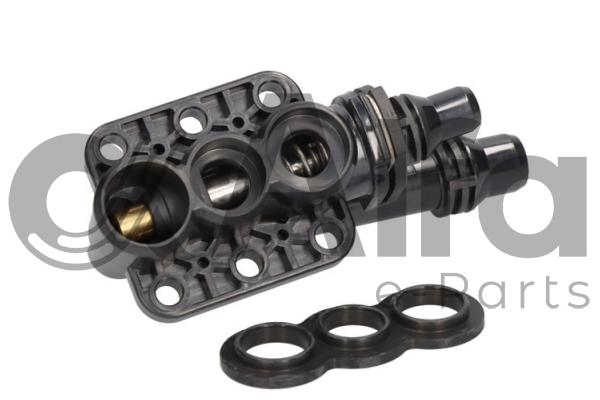 Thermostat, coolant (AF12270)