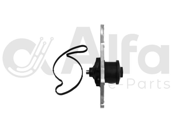 Water Pump, engine cooling (AF14178)