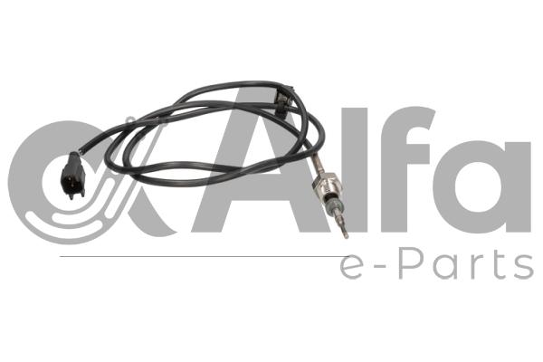 Sensor, exhaust gas temperature (AF13821)