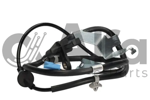 Sensor, wheel speed (AF05017)