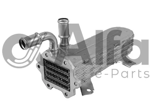 Cooler, exhaust gas recirculation (AF10784)