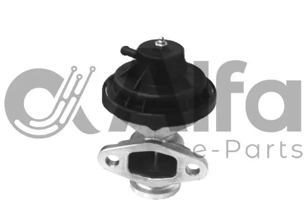 EGR Valve (AF07800)