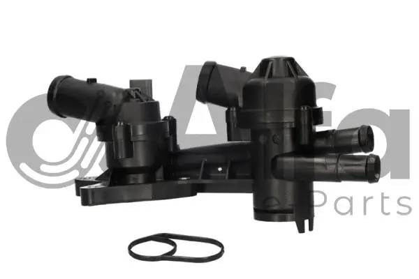 Thermostat, coolant (AF10528)