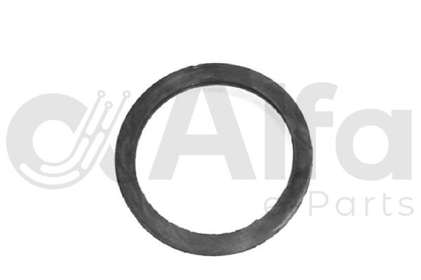Seal, thermostat (AF14250)