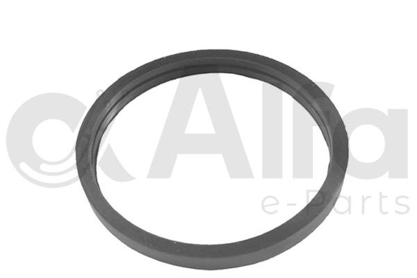Seal, thermostat (AF14249)
