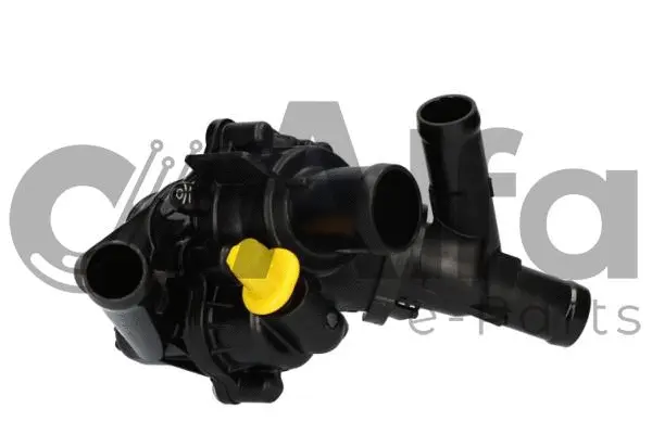 Thermostat, coolant (AF10743)