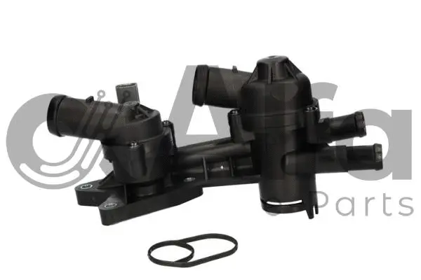 Thermostat, coolant (AF08190)