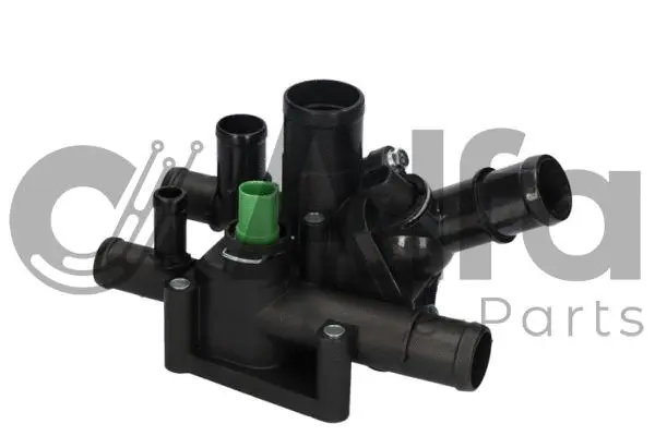 Thermostat, coolant (AF12366)