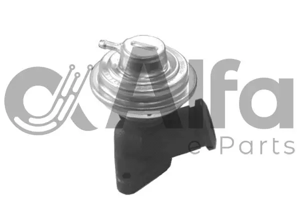EGR Valve (AF08491)