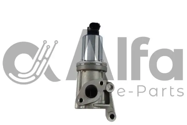EGR Valve (AF07781)