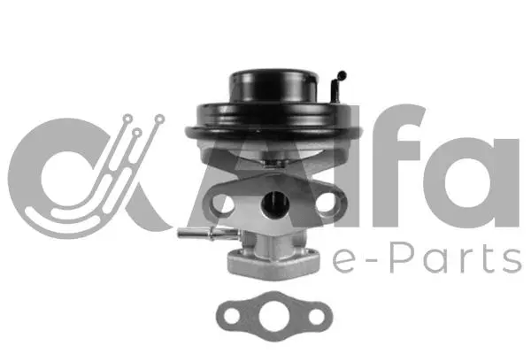 EGR Valve (AF07824)