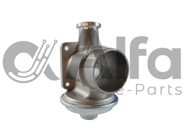 EGR Valve (AF07784)