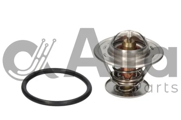 Thermostat, coolant (AF10703)