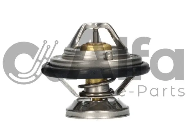 Thermostat, coolant (AF10438)