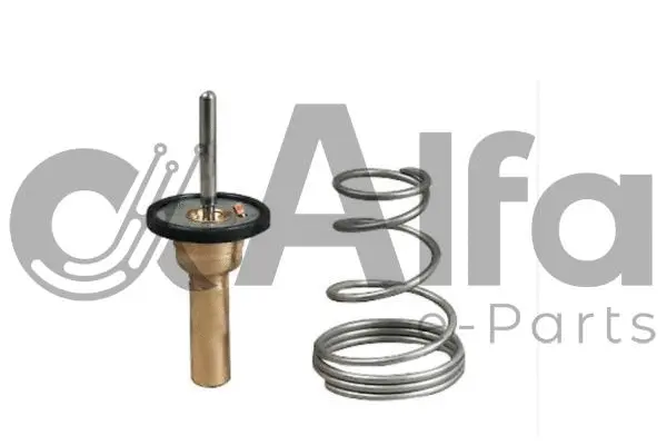 Thermostat, coolant (AF10564)