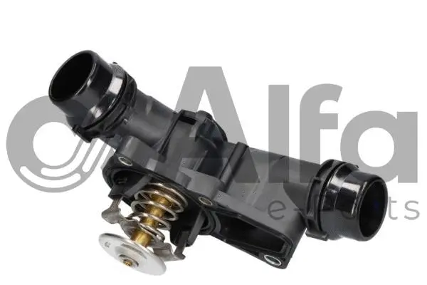 Thermostat, coolant (AF12187)