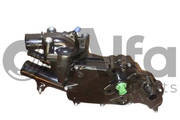 Thermostat, coolant (AF12273)