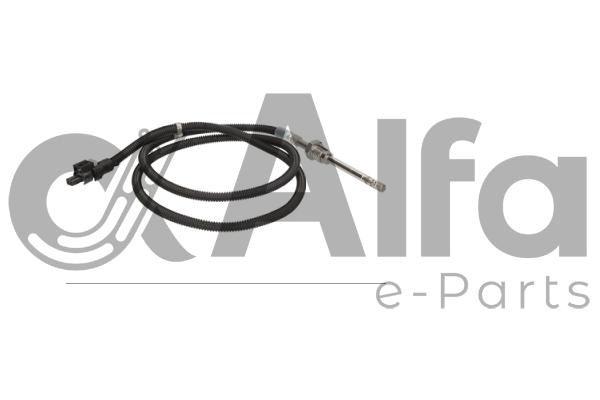 Sensor, exhaust gas temperature (AF09948)