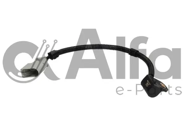 Sensor, camshaft position (AF04786)