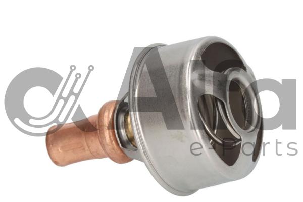 Thermostat, coolant (AF10676)